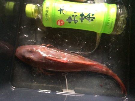 焼津沖